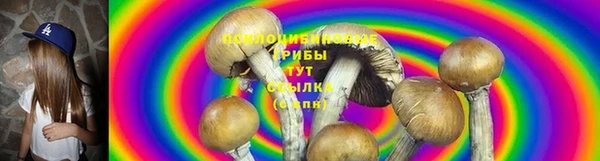 прущая мука Кодинск