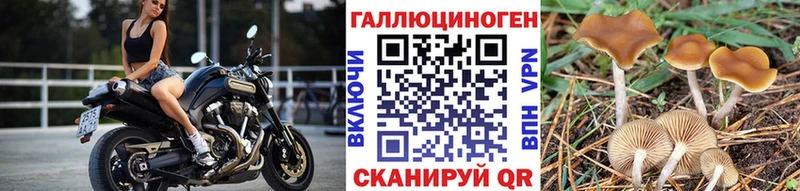 Купить где  Маркс  Галлюциногенные грибы ЛСД 